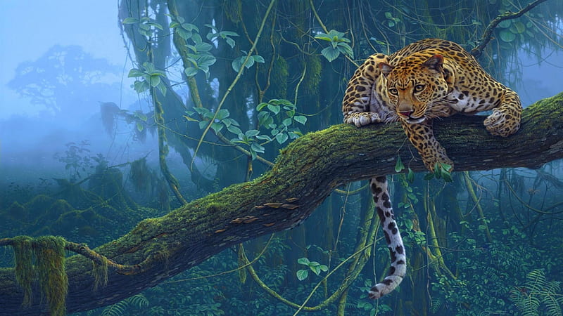 Cats, Leopard, Fog, Branch, Animal, Jungle, Rainforest, HD wallpaper