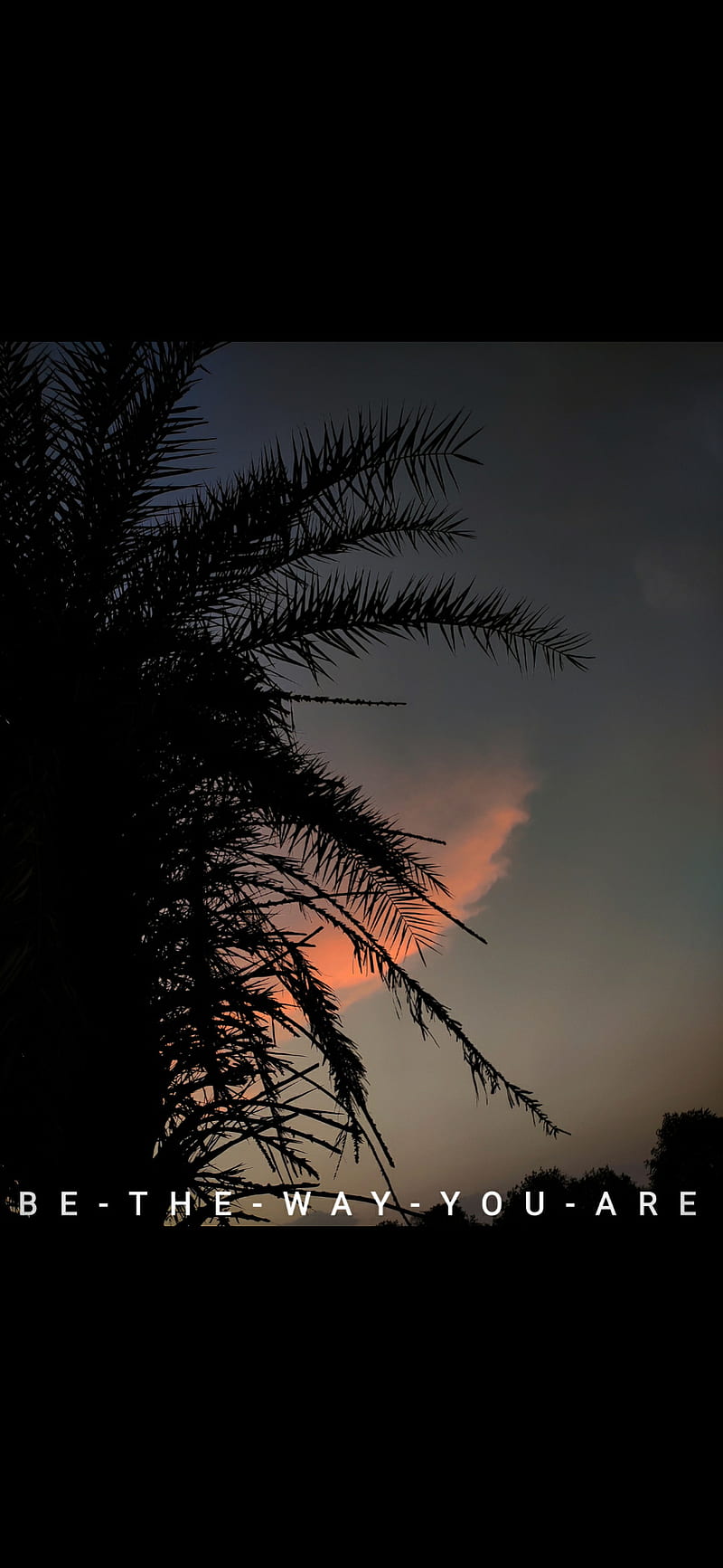 Natural , bethewayyouare, dark theme, karma, nature, night, palm, quotes, sky, sunset, HD phone wallpaper