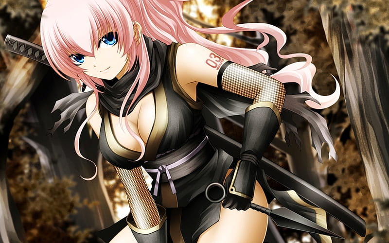 1 Anime Assassin Girl HD wallpaper | Pxfuel