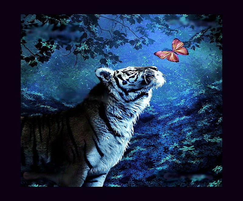 Diversity, encounter, butterfly, plants, striped, jungle, orange black and white, tiger, trees, HD wallpaper