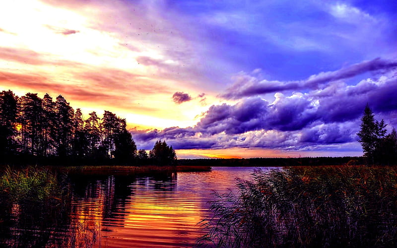 SUNSET CLOUDS, plants, river, sunset, trees, clouds, HD wallpaper
