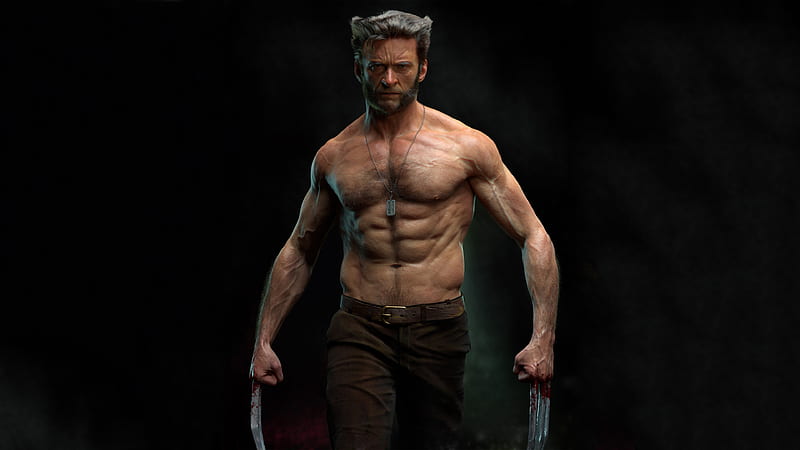 Wolverine Hugh Jackman, wolverine, superheroes, artwork, artstation, HD wallpaper