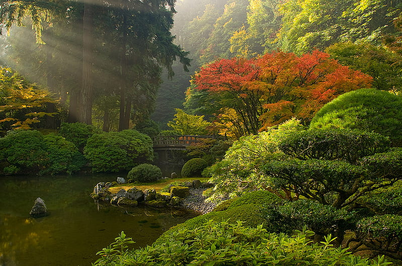 Japanese garden., fall, autumn, sunray, rock, peace, lake, pond, japan, green, bridge, garden, HD wallpaper