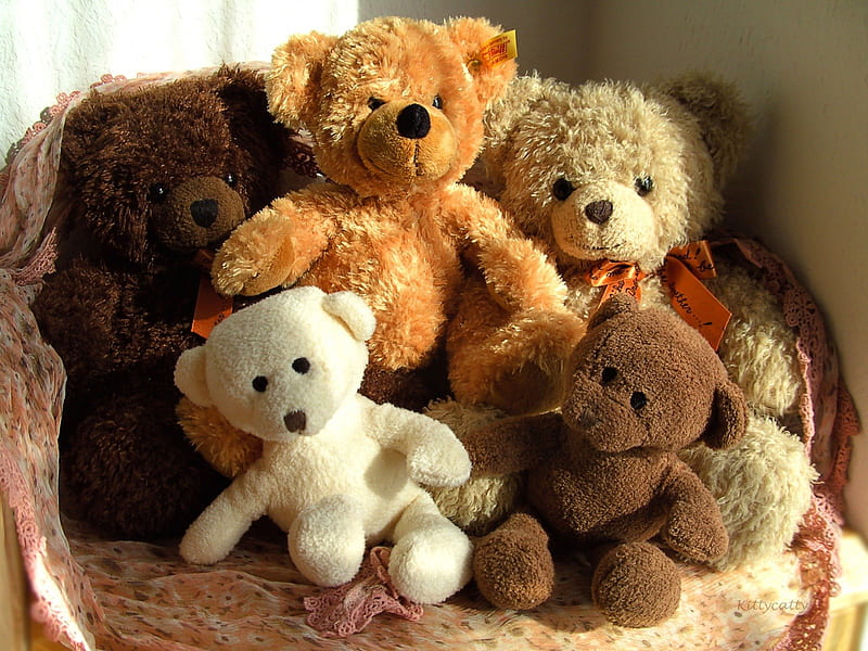 ღ.ღ.ღ Teddy Bears ღ.ღ.ღ , Teddy Bears, children, stuffed bears, toy, plush, Teddy, love, childhood, teddies, HD wallpaper