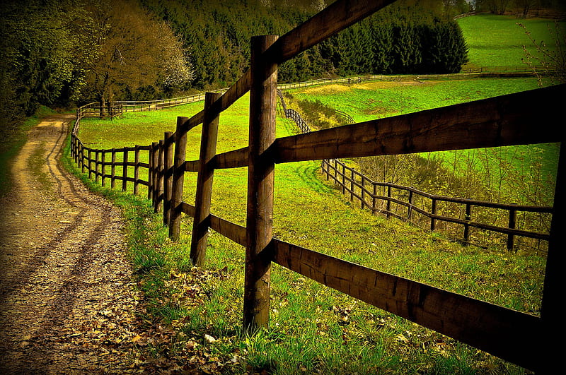 Fenced Off, countryside, farmland, quaint, gravel, HD wallpaper