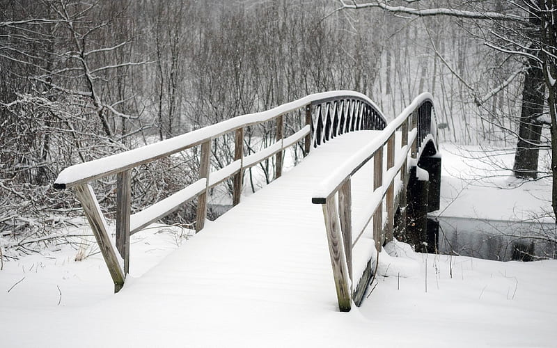 bridge covered in snow-winter natural landscape, HD wallpaper