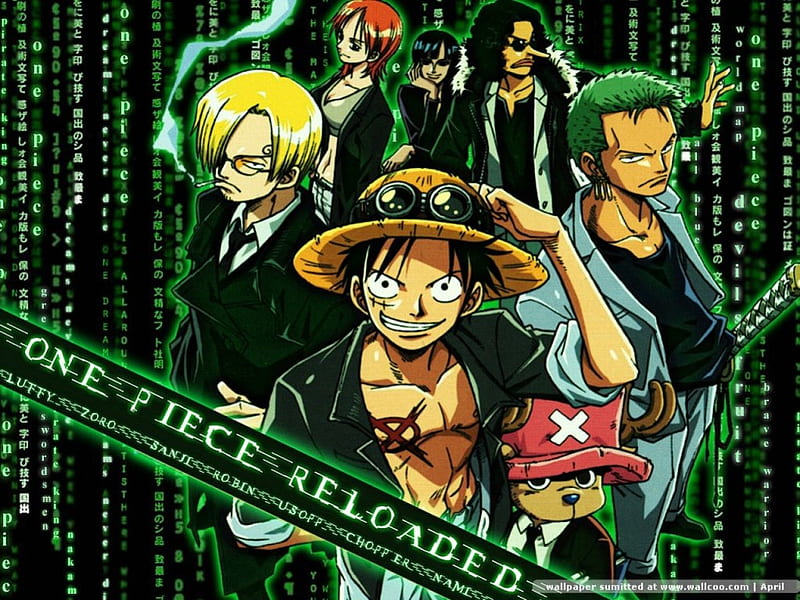 One Piece, anime, HD wallpaper | Peakpx