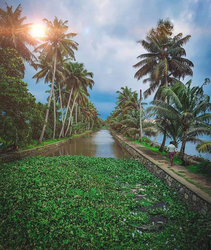 Kerala, port, HD phone wallpaper