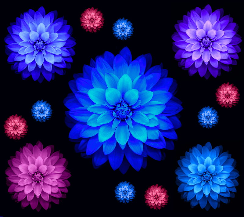 IOS lotus flowers S5, abstract, apple, blue, pink, purple, HD wallpaper |  Peakpx