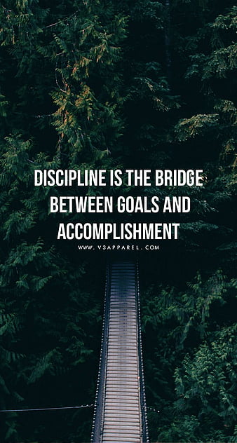 V3 Apparel  Limited Edition Gym & Activewear on X: Discipline is