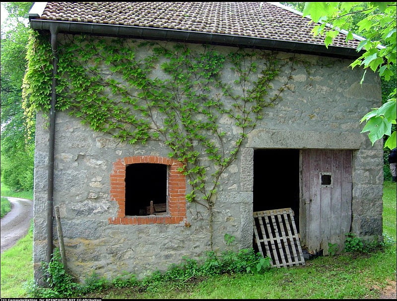 Little farm, house, arhitecture, ancient, green, grass, cottage, HD wallpaper