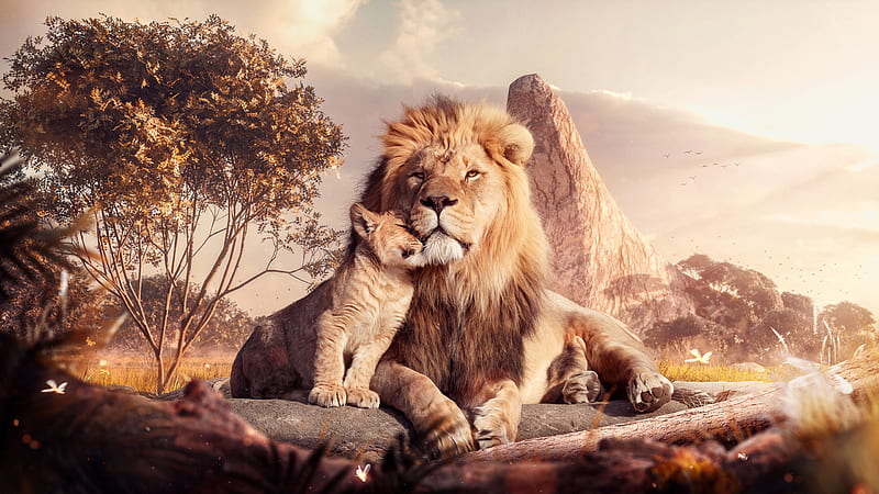 Lion Mufasa Simba The Lion King, HD wallpaper