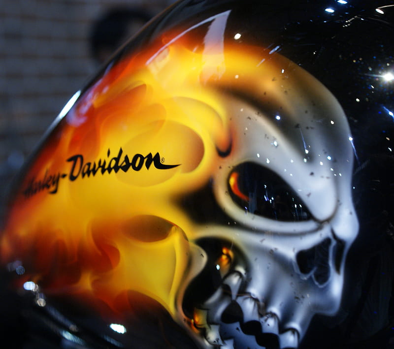 Harley Davidson, auto-expo, cool skeleton, HD wallpaper