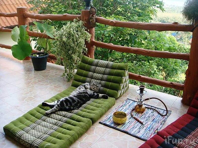 It's Time To Relax, mattress, plants, railing, resting, cat, trees, HD wallpaper