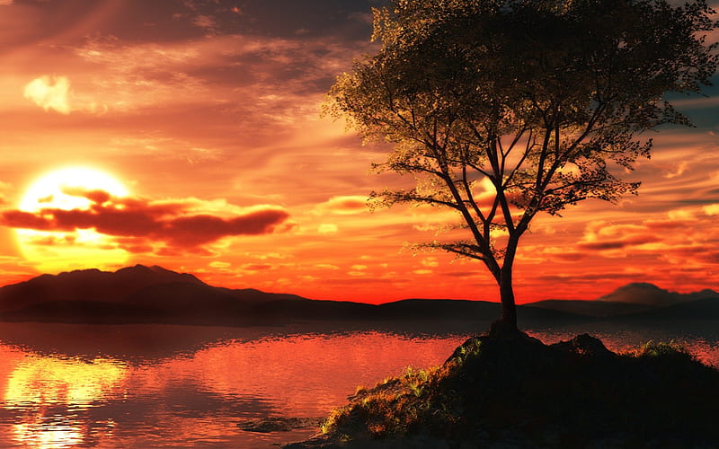 GOLDEN TREE  Sunset, Photo art, Desktop background images