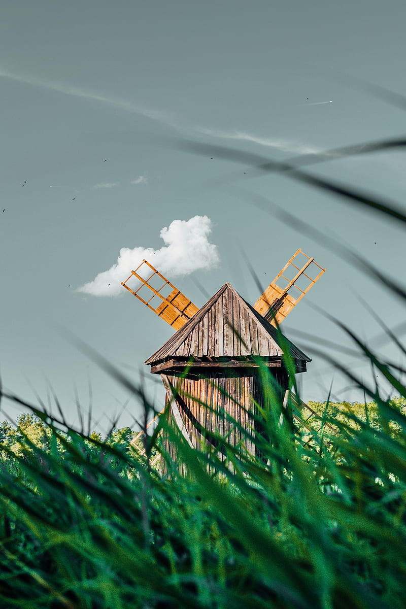 windmill, old, wooden, grass, field, HD phone wallpaper