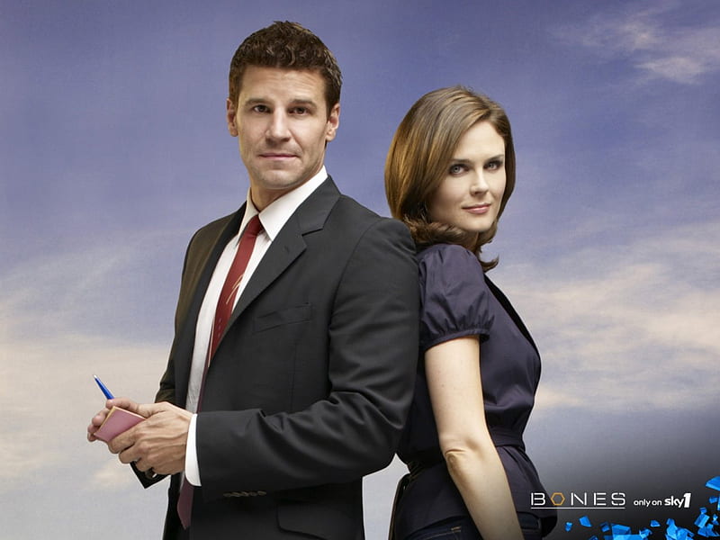 TV Show Bones HD Wallpaper