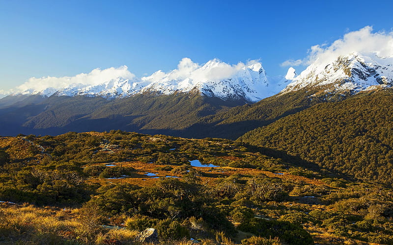 Key Summit, South Island New Zealand, trees, landscape, sky, hills ...