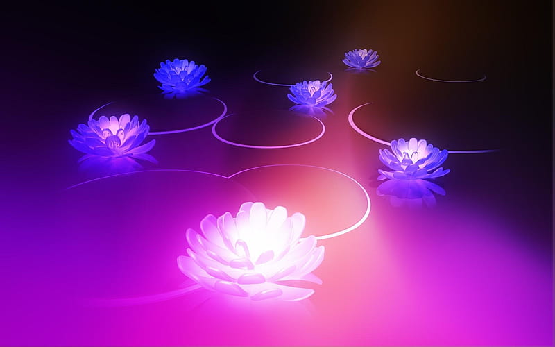 honeycomb lotus-Android advertising, HD wallpaper