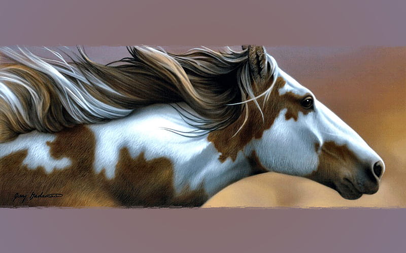 Wind Chaser - Horse F2, art, jerry gadamus, head, paint, gadamus, equine, horse, pinto, artwork, painting, pony, wide screen, HD wallpaper