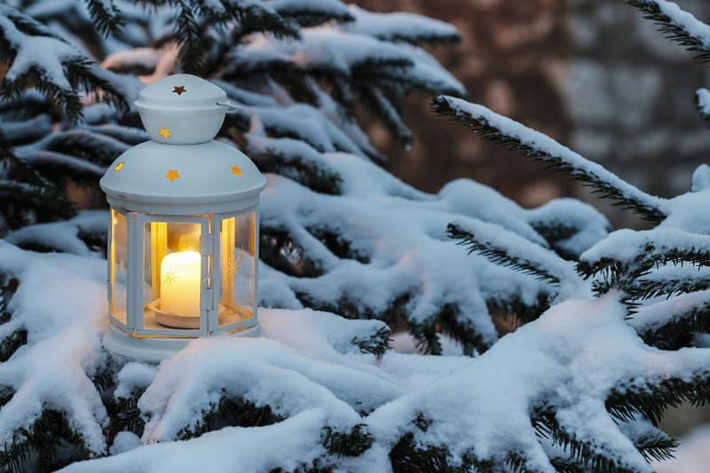 Beautiful Winter, candle, lantern, winter, cold, still life, tree, pine, snow, night, HD wallpaper
