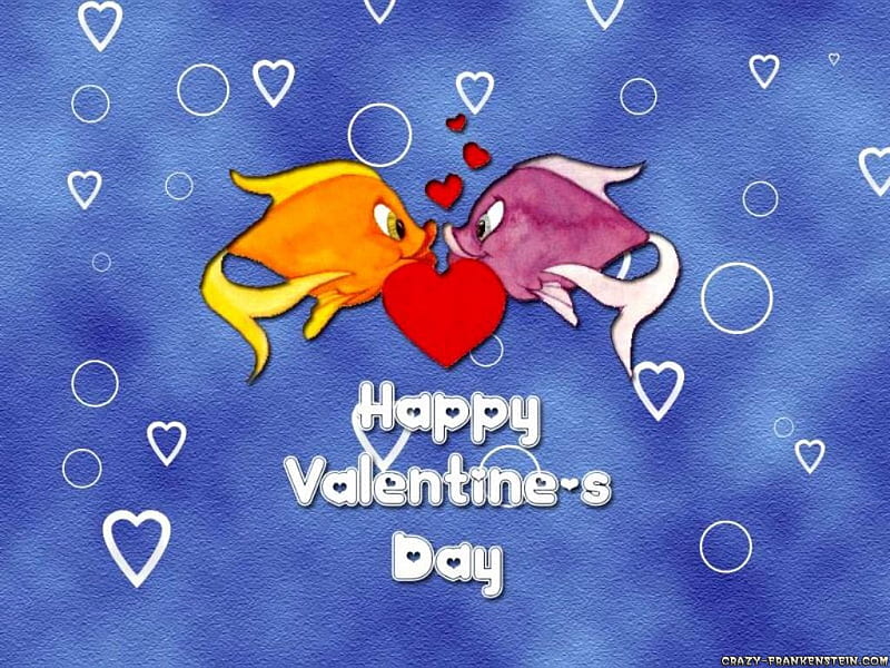 A Fishy Valentines Day, valentines, holiday, february 14, fish, love, heart, bubbles, corazones, HD wallpaper