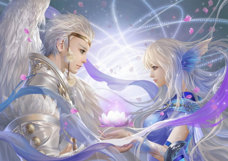 Lotus Radiance, pretty, magic, wing, sweet, floral, nice, fantasy, love, feather, handsome, beauty, realistic, long hair, wings, lovely, romance, sexy, short hair, cool, lover, awesome, white, maiden, lotus, guy, bonito, silver, blossom, hot, light, couple, gorgeous, female, male, romantic, angel, boy, girl, flower, magical, petals, silver hair, lady, HD wallpaper