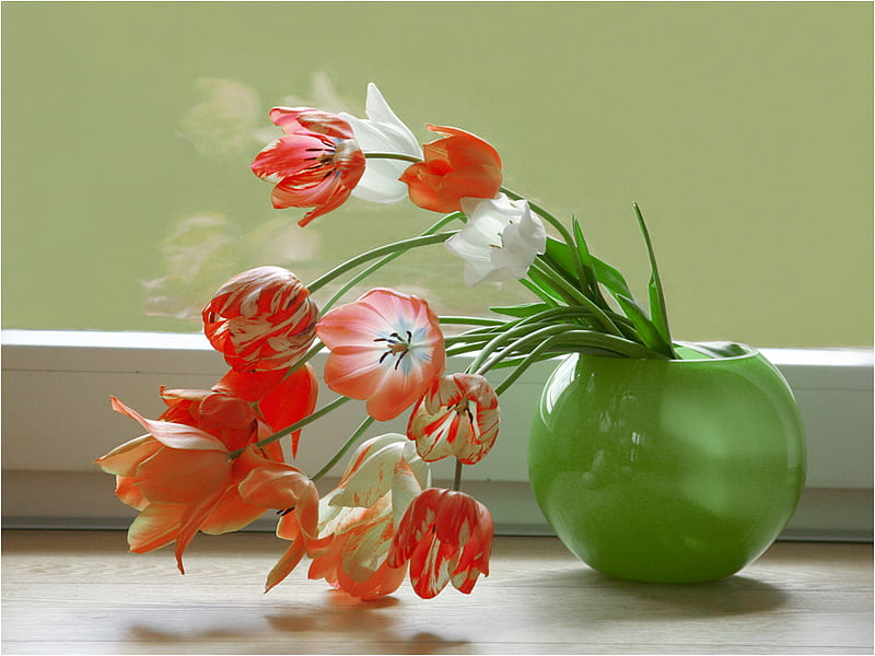 still life, vase, bonito, elegantly, graphy, nice, cool, bouquet, flower, flowers, tulips, tulip, harmony, HD wallpaper