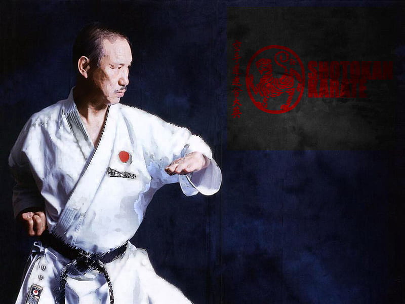 Shotokan Karate, esports, HD wallpaper