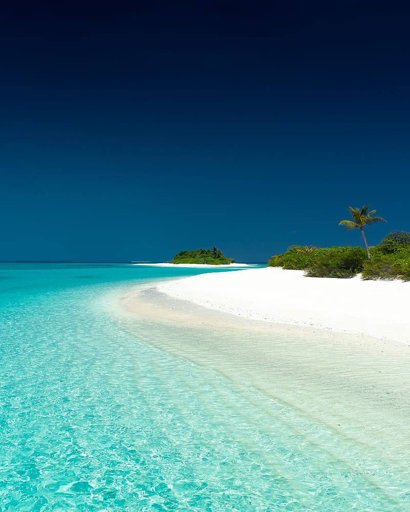ocean, palm trees, beach, sand, island, sky, HD phone wallpaper