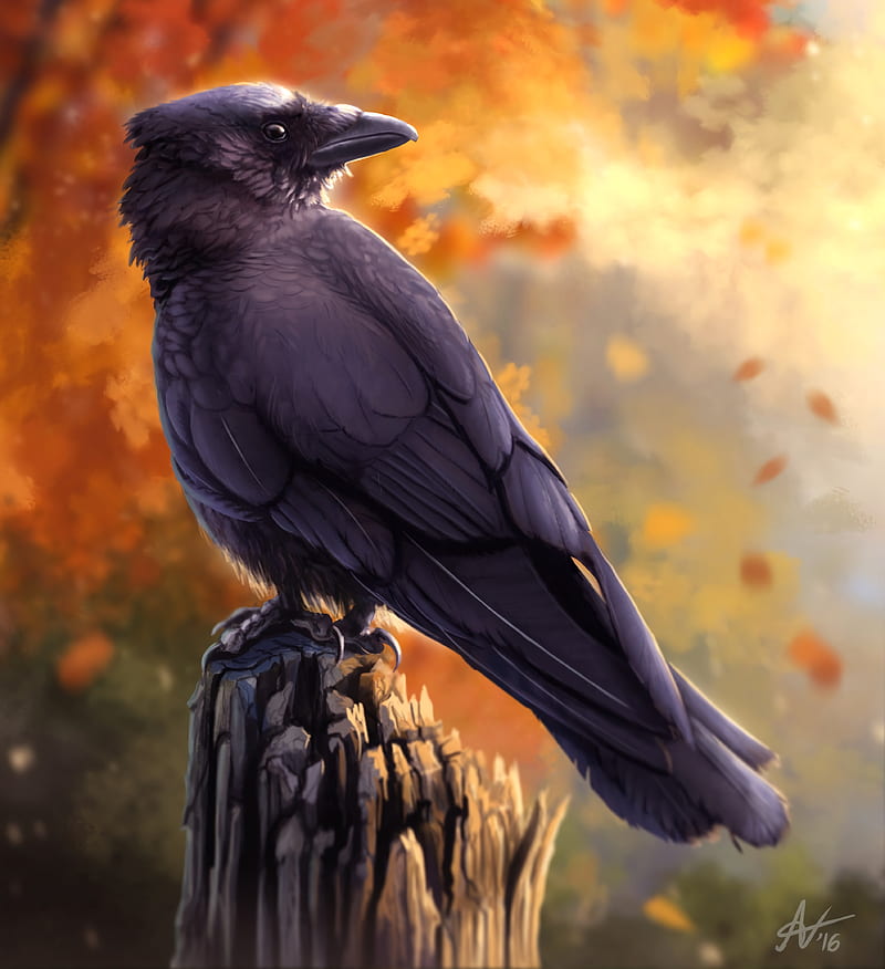 raven, bird, art, black, autumn, HD phone wallpaper