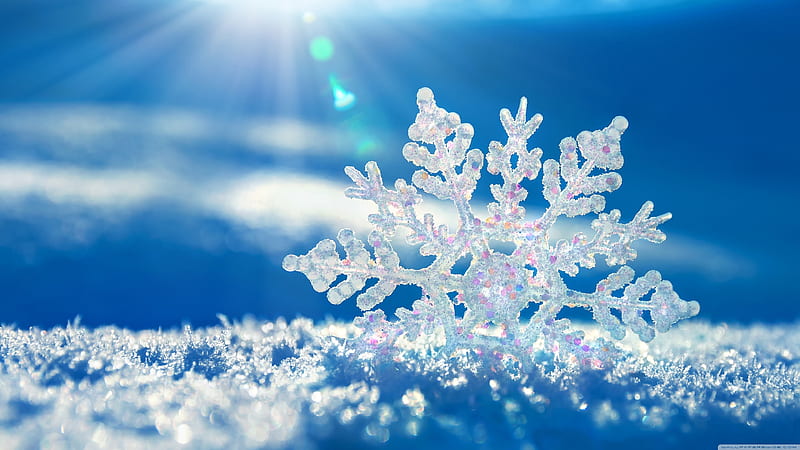 Snowflakes Background, winter, landscape, nature, snow, background, HD wallpaper