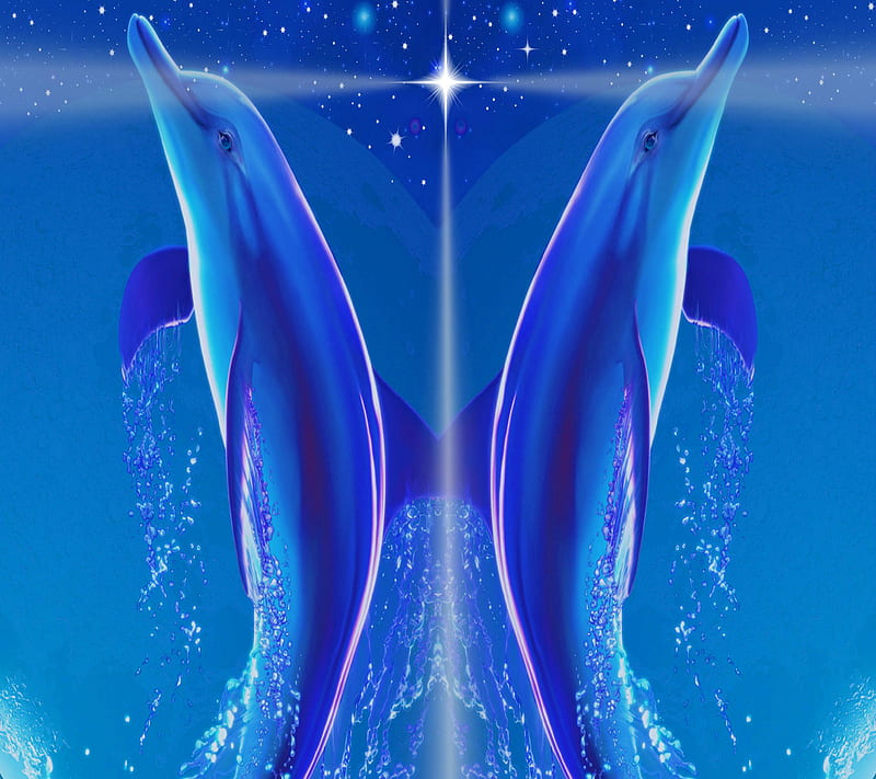 Delfines, HD wallpaper