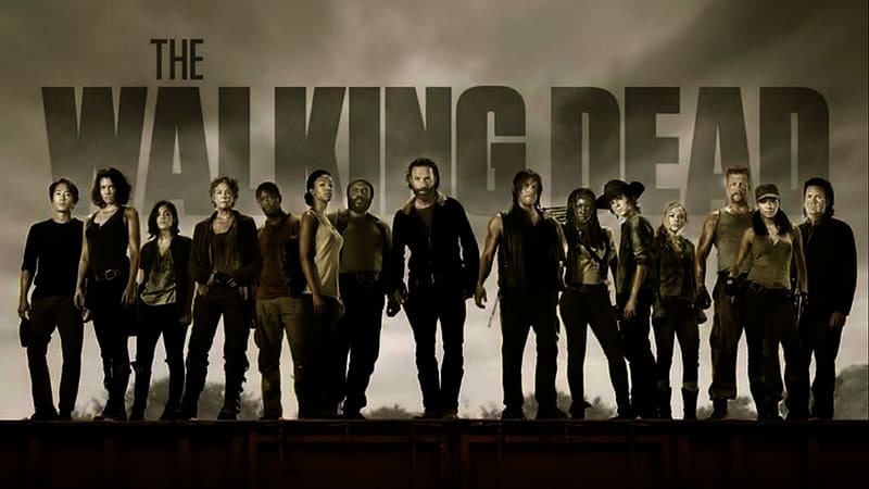 Andrew Lincoln, Tv Show, Norman Reedus, The Walking Dead, Rick Grimes, Carl Grimes, Chandler Riggs, Michonne (The Walking Dead), Danai Gurira, HD wallpaper