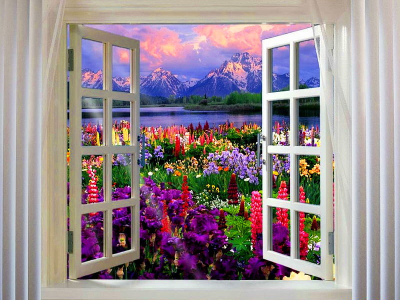 Window to heaven, colorful, lupin, window, sky, clouds, lake, mountain, eden, water, paradise, flowers, garden, nature, HD wallpaper