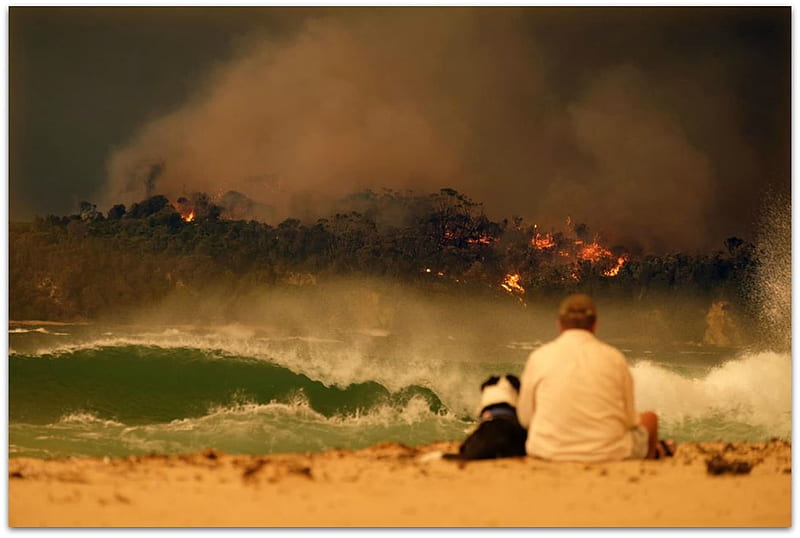 WATCHING FROM THE BEACH, FIRE, DOG, MAN, BEACH, HD wallpaper