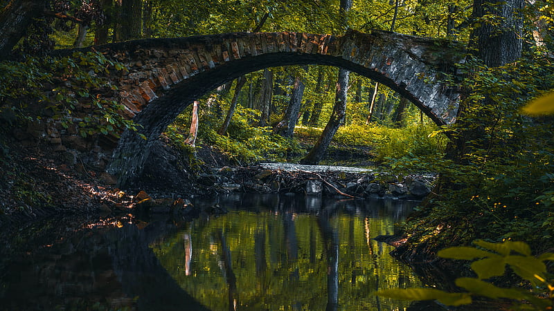 Bridges, Bridge, Forest, Pond, Reflection, HD wallpaper