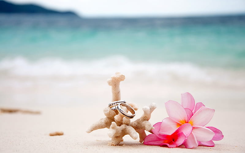 wedding rings, sand, beach, wedding on islands, pink flowers, HD wallpaper