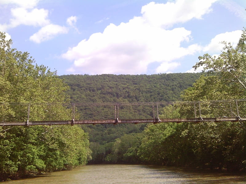 Swinging bridge, Shenandoah Valley, river, water, trees, bridge, HD wallpaper