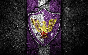 Centro Atletico Fenix logo, geometric art, Uruguayan football club, purple  background, HD wallpaper