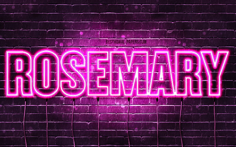 Rosemary with names, female names, Rosemary name, purple neon lights, horizontal text, with Rosemary name, HD wallpaper