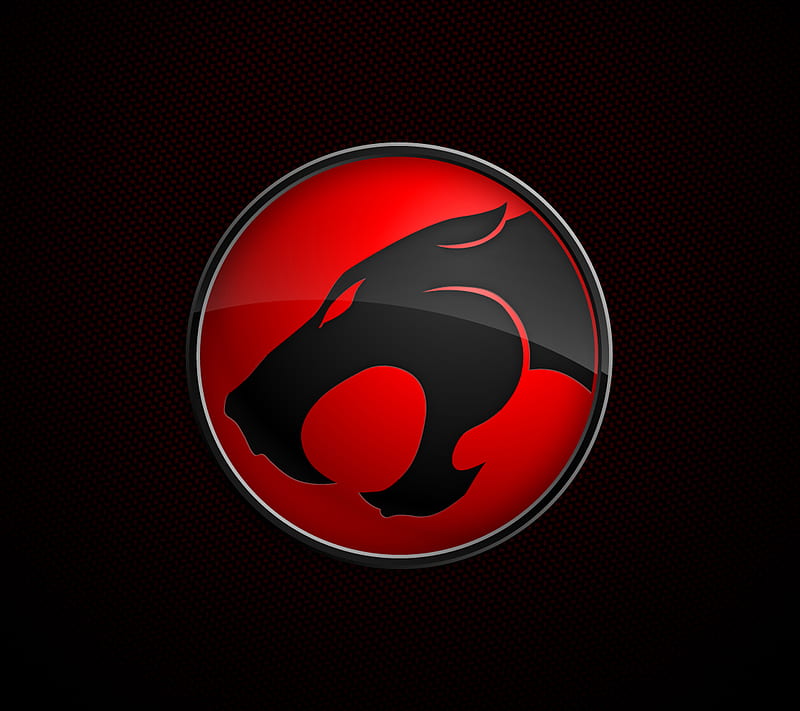 Thundercats Logo, HD wallpaper