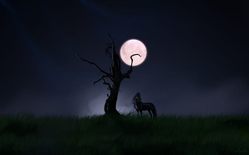 signs of loneliness horses, abstract, 3d and cg, HD wallpaper