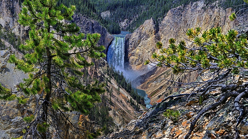 wonderful lower falls in yellowstone r, gorge, river, r, trees, waterfalls, HD wallpaper