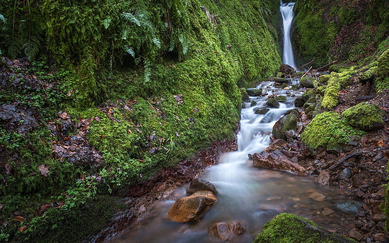 Dollar Glen, mountain river, waterfall, forest, Scotland, HD wallpaper