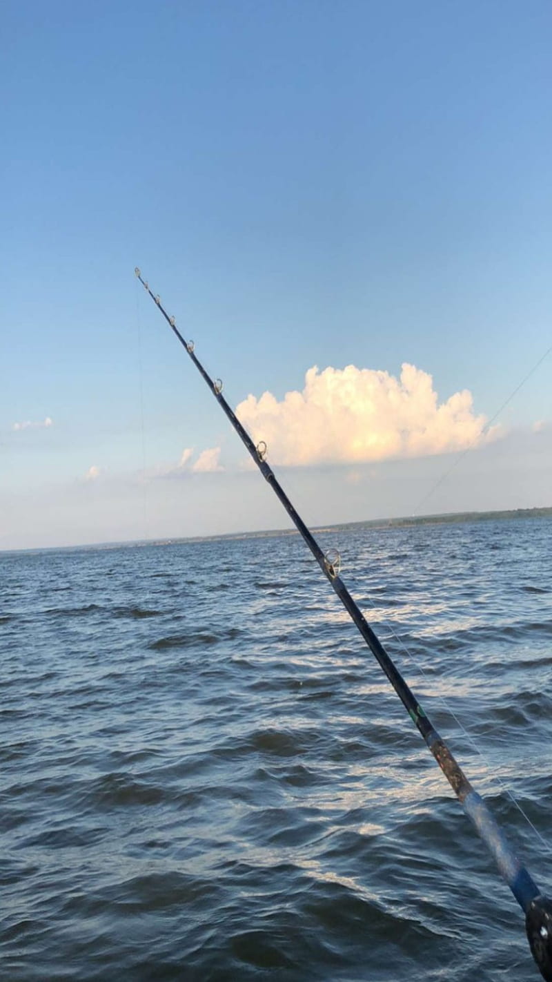 Fishing, fish, fishing pole, pole, waves, HD phone wallpaper