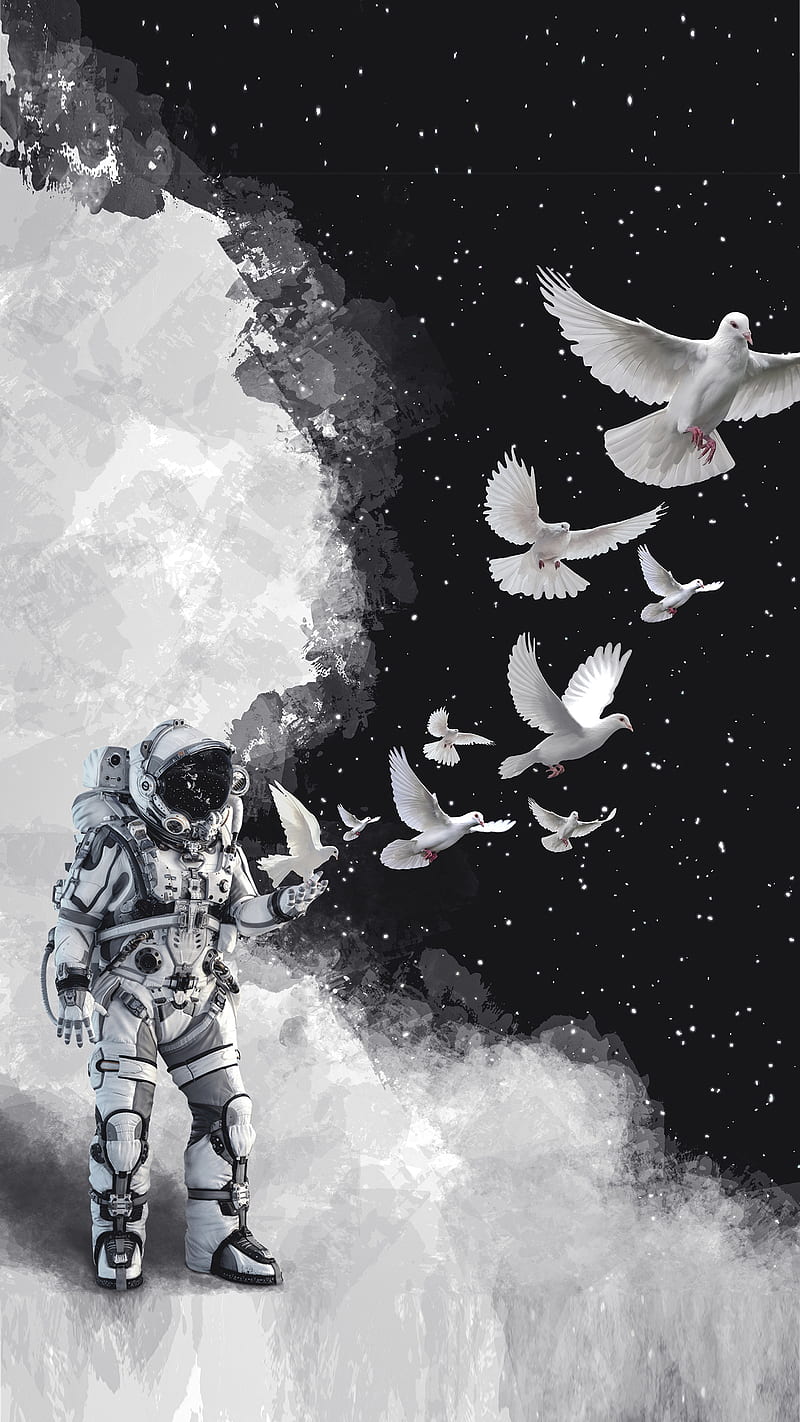 Astropigeon Circlestances Abstract Art Astronaut Banksy Digitalart Pigeons Hd Phone Wallpaper Peakpx