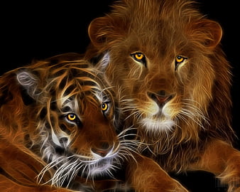 lion and tiger wallpaper