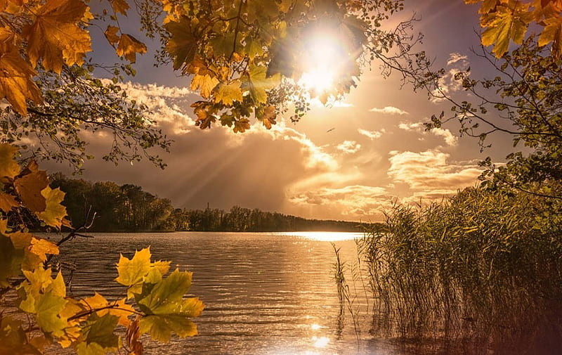 autumn sunset, sunset, nature, autumn, HD wallpaper