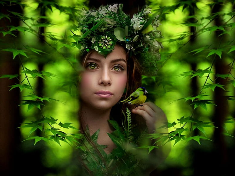 Hidden, bold, girl, headdress, forest, colorful, black, vibrant, vivid, green, bright, HD wallpaper